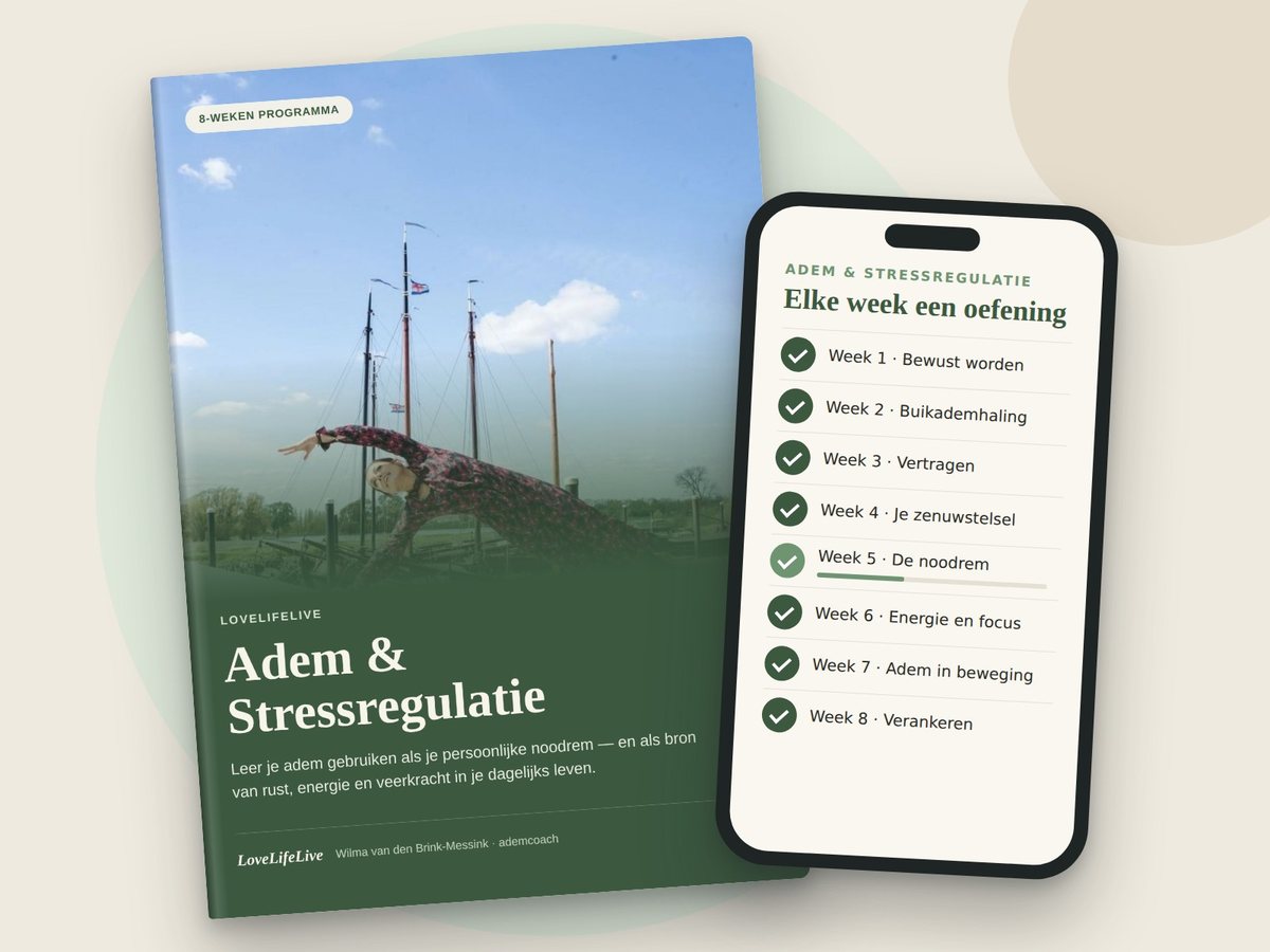 De ademgids Adem & Stressregulatie en een voorbeeld op je telefoon