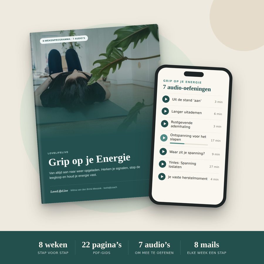 De gids en een voorbeeld op je telefoon: Grip op je Energie