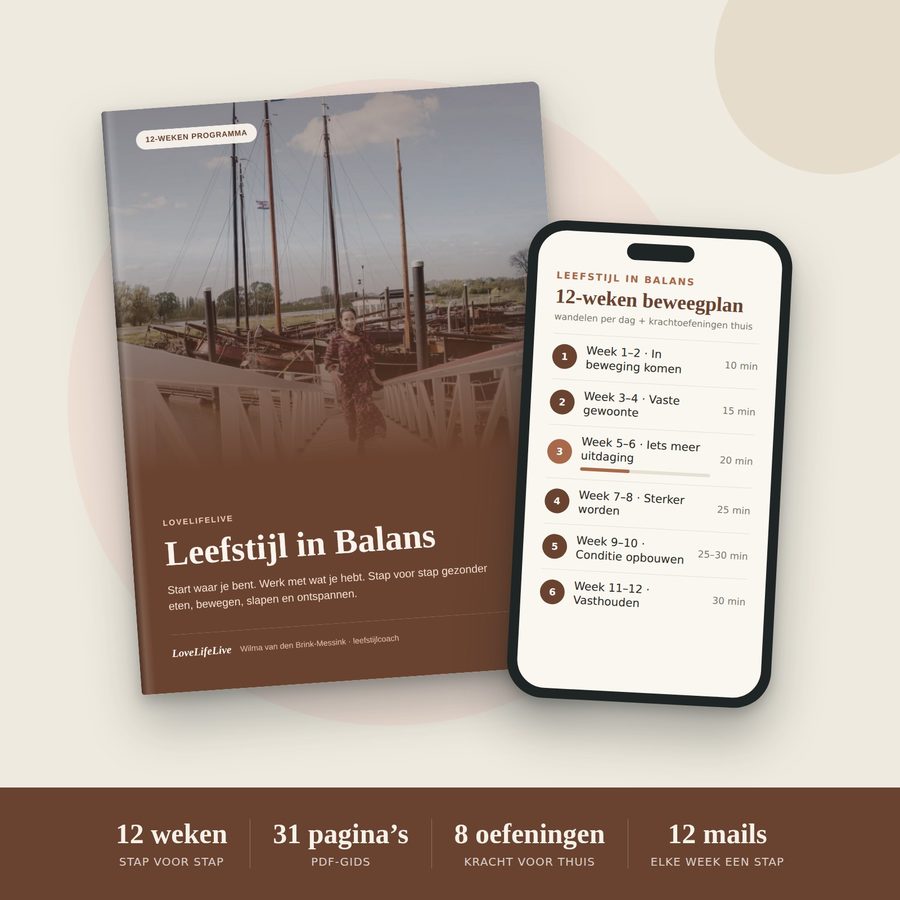 De gids en een voorbeeld op je telefoon: Leefstijl in Balans