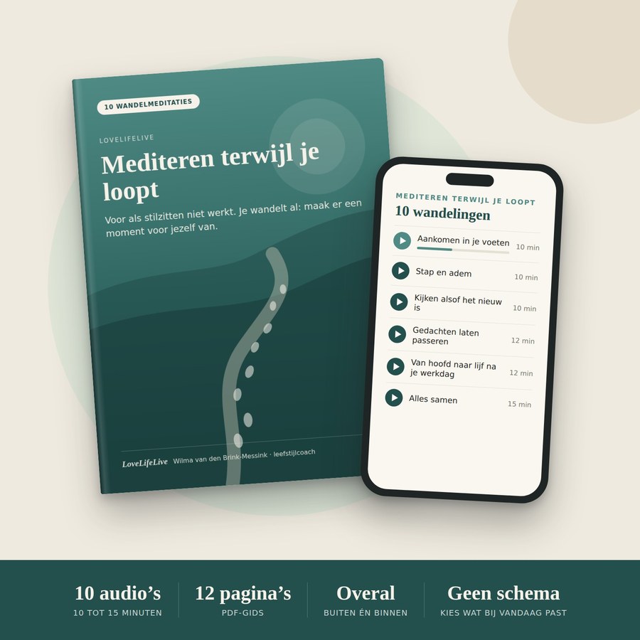 De gids en een voorbeeld op je telefoon: Mediteren terwijl je loopt